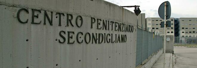 Carceri Campania, la denuncia del Sappe su Secondigliano: «Vergogna distacco commissario per cura cani randagi»