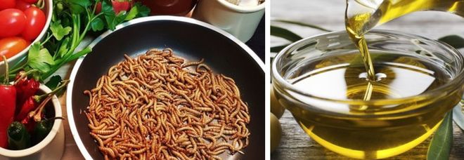 Insetti da mangiare: hanno più antiossidanti dell'olio d'oliva, qualità superiori al succo d'arancia