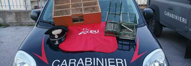 Trappole e uccelli protetti nel parco del Vesuvio: scatta denuncia