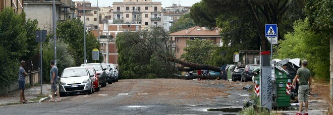 Maltempo a Roma, crolla tetto azienda agricola sulla Prenestina: salvate tre famiglie