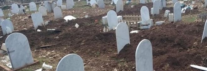 Cinghiali assaltano il cimitero: lapidi abbattute e fosse tra le tombe