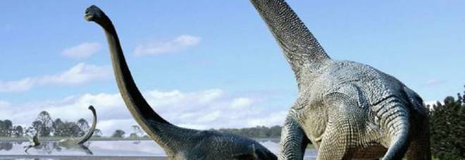 Dinosauri, la scoperta incredibile in Australia: una nuova specie, era alta 6 metri