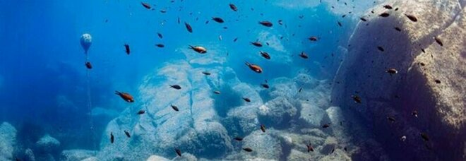 Capri, maxi inchiesta sulla pesca di datteri: condannato a sei anni il capo pescatore