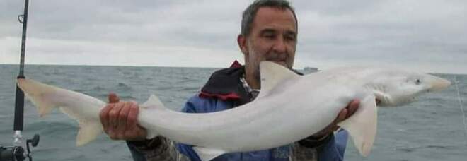 Lo squalo albino pescato e rilasciato in Gran Bretagna (immagini pubbl da Offshore Angler su Fb)