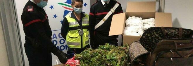 Fiumicino, atterrano con 76kg di droga nelle valige: arrestati due italiani