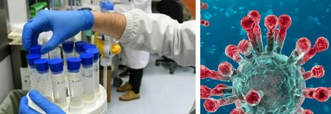 «Il virus era già negli Usa alla fine 2019»: il nuovo studio su 24mila campioni di sangue