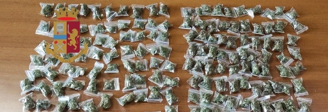 Controlli antidroga a Napoli: trovati 300 grammi di marijuana tra le frasche