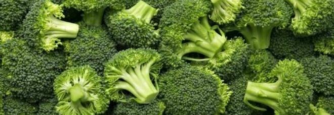 Alimentazione, perchè tanti bambini odiano i broccoli? Lo studio