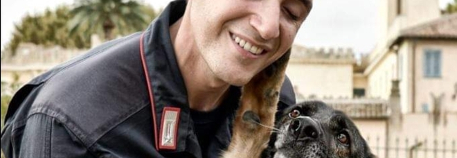 Giornata internazionale del cane: l'omaggio di Forze Armate e Polizia ai colleghi a 4 zampe