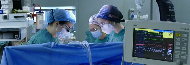 Medici internisti in Campania: tra il 5 e il 10% affetti da Long Covid
