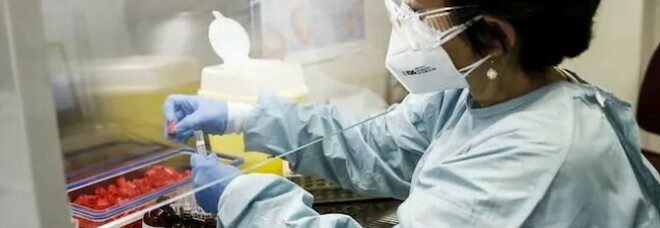 Covid, scienziato tedesco: «Virus nato da errore in laboratorio a Wuhan, 600 gli indizi»