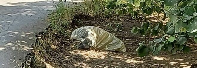 Scisciano, il cadavere nel sacco è di un senzatetto romeno