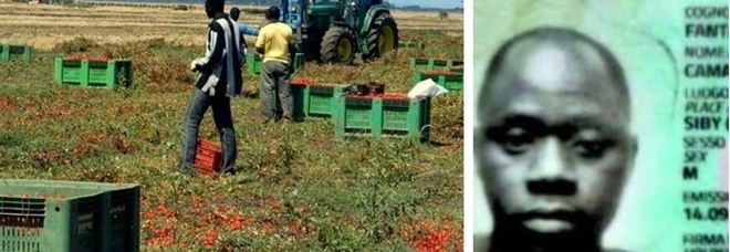 Bracciante morto per il caldo, ordinanza in Puglia: vietato il lavoro nei campi nelle ore torride