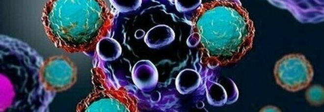 Tumori, nuova ricerca apre la strada al vaccino universale anti-cancro «Capace di bloccare le cellule malate»