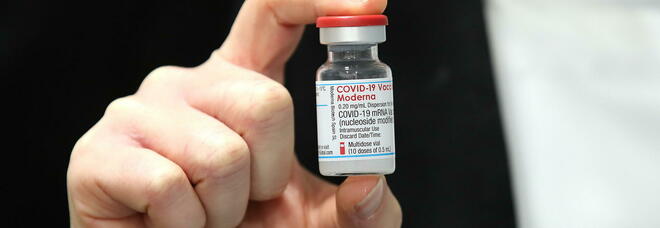 Vaccino, Moderna studia il triplo shot: iniezione contro Covid, influenza e virus respiratorio