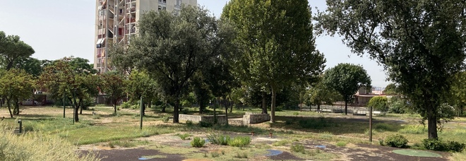 Ponticelli, nuove piante e videocamere: così rinasce il parco dedicato a Sergio De Simone