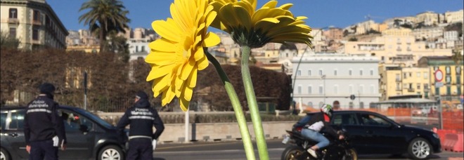 Un «fiore per la pace» al consolato Usa di Napoli: «Basta guerre»