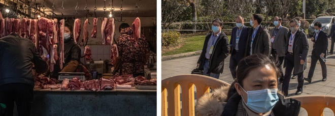 Covid, blitz degli esperti Oms nel mercato delle carni a Wuhan: controlli sugli animali selvatici
