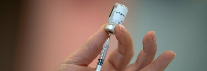 Vaccino, il racket dei falsi Pfizer: Interpol lancia l allarme