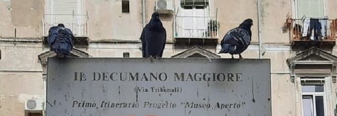 Napoli, lo scempio dei cartelli turistici: «Nove su dieci vandalizzati»