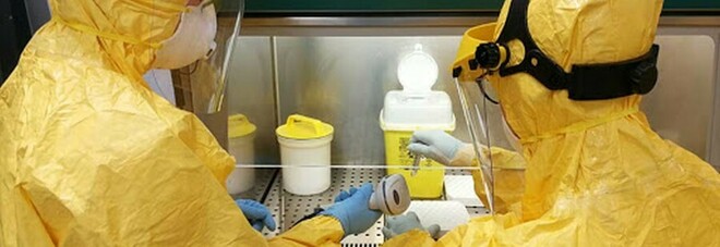 Coronavirus, origine animale o sfuggito da laboratorio Wuhan? Rapporto 007 Usa «inconcludente». Resta il giallo