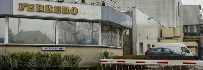 Salmonella, Ferrero chiude una fabbrica in Belgio e ritira i prodotti