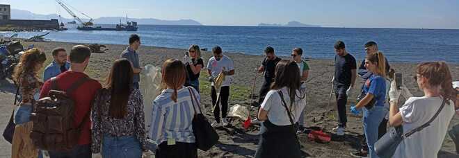 San Giovanni, topi e piccioni morti sulla spiaggia: in azione i volontari del Rotaract