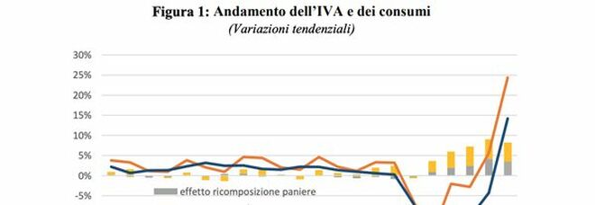 Covid, Bankitalia: "Con pandemia gettito IVA cresce più dei consumi"