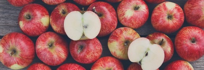 “Una mela al giorno leva il medico di torno”, gli scienziati svelano il perché