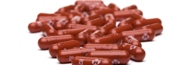Pillola anti-Covid, il farmaco Merck ha un'efficacia del 30%: meno rispetto ai dati preliminari (50%)