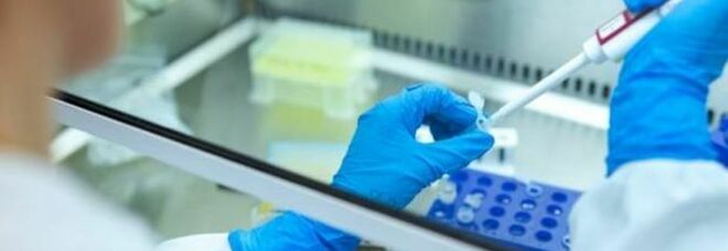 Vaccino Covid, Brasile sospende test Sinovac Biotech: «Incidente grave su un volontario»