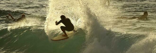 Australia, surfista muore dopo essere stato attaccato da uno squalo: aveva 30 anni