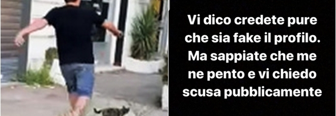 Gatto ucciso a calci, il giovane: «Non posso uscire di casa, rischio la vita»