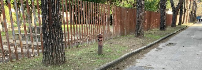 Ponticelli, torna il decoro tra le palazzine popolari: rimossi quintali di erbacce