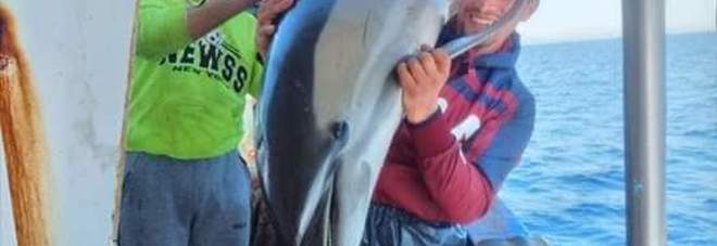 Il povero delfino finito nella rete oggetto dei selfie soddisfatti dei pescatori (immagini diffuse da Houtiyat associazione tunisina studio cetacei su Fb)