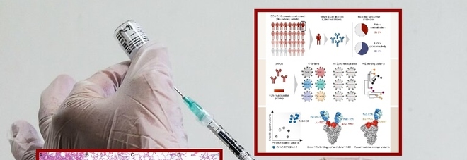 Omicron, Sars e i virus del futuro: gli scienziati ora danno la caccia al super vaccino contro le pandemia