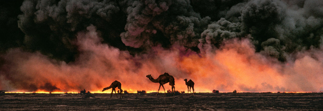 Australia, 10.000 cammelli saranno abbattuti da cecchini in elicottero: «Bevono troppa acqua»