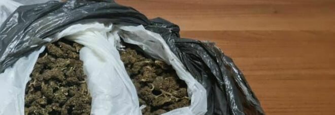 Operazione «Good», 9 indagati per spaccio di marijuana e hashish