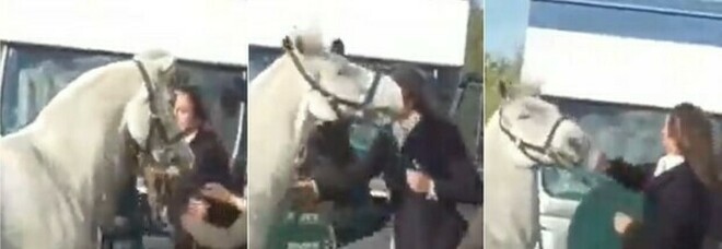 Maestra prende a schiaffi e calci un cavallo davanti ai bimbi: licenziata dopo la bufera sui social