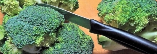 Tumori, scoperta nei broccoli un'arma micidiale per metterli ko