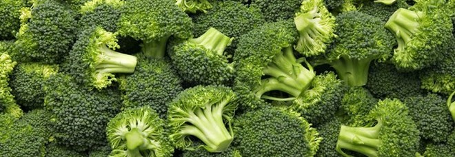 L'odio per i broccoli è scritto nel gene Tas2R38 (e mette a rischio la dieta sana)