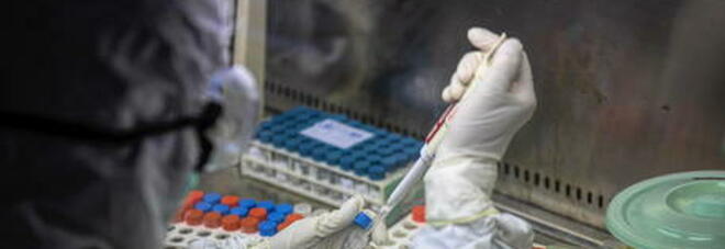 Covid, un anticorpo sperimentale potrebbe neutralizzare le varianti