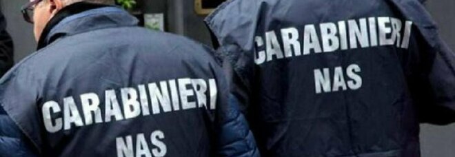 Controlli Nas Napoli, 659 ispezioni in 4 mesi: sequestri da oltre 3 milioni di euro