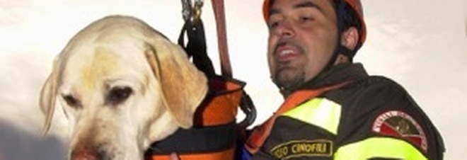 I labrador della Campania hanno già salvato due vite
