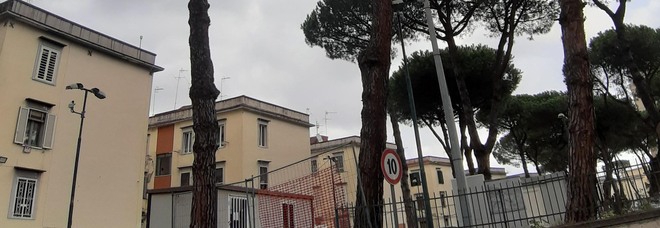 Case, l’ultimo scandalo a Napoli: «Parco ai Colli Aminei occupato da 15 abusivi»