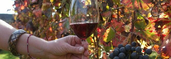 Campania Wine, a dicembre l'evento che coinvolge 250 produttori di vino e oltre 700 etichette