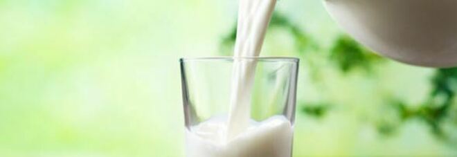 Intolleranza al lattosio, boom di test per diagnosi sul web