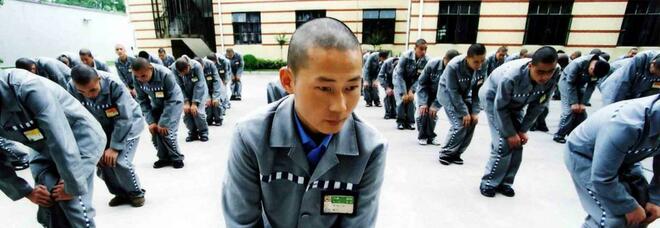 Cina, medici espiantano organi ai detenuti condannati a morte (ancora in vita). «Abusi su larga scala»