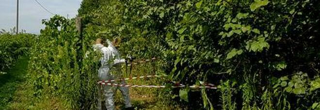 Salerno, neonato trovato morto in un'aiuola: fermati marito e moglie per omicidio