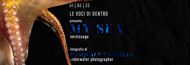 «My Sea», la mostra fotografica di Pasquale Vassallo tra il Golfo di Napoli e il parco sommerso di Baia